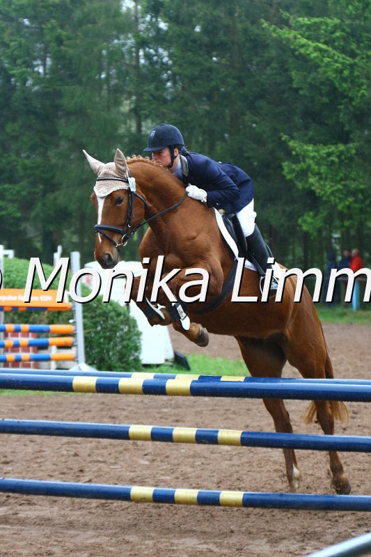 005L4735_Melody of Dreams_Springpferde A xx.JPG